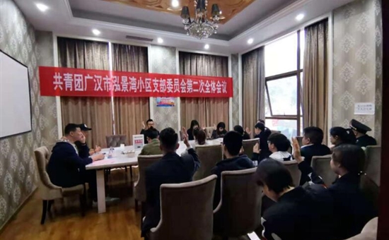 群團新聞丨團企共建， 泓景灣小區完成德陽市首個小區團支委選舉