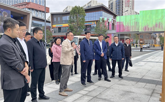 邯鄲市委副書記徐翀帶隊專題調研天府國際動漫城